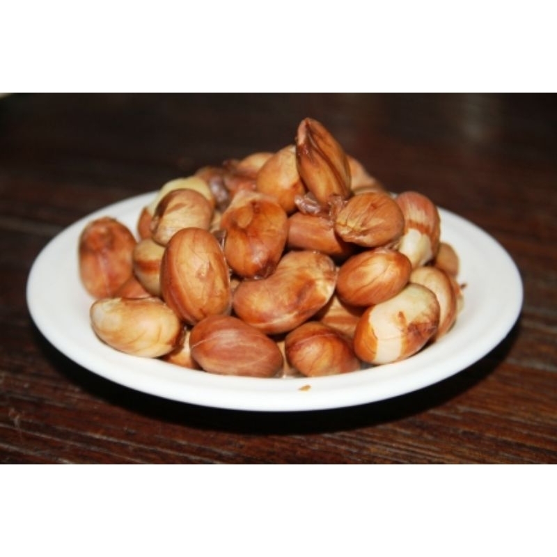 benih nangka cempedak super per 10biji