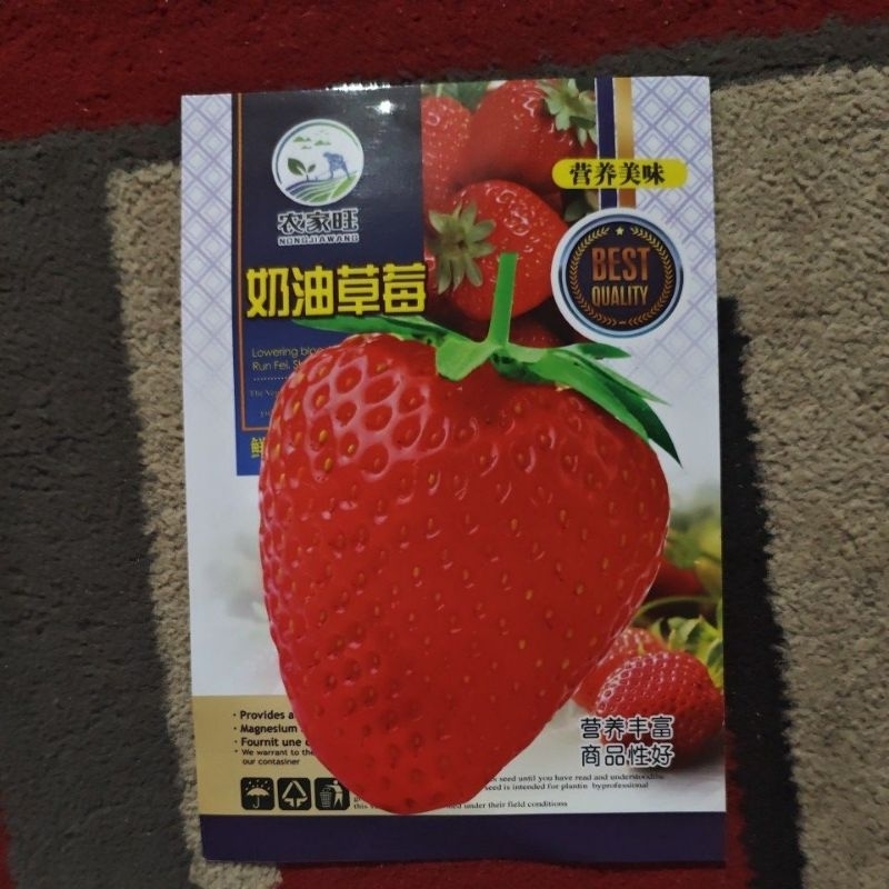 

benih buah strawberry