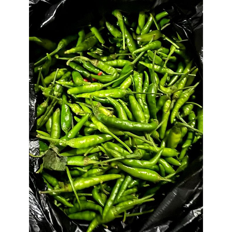 

Cabe Rawit / Cabe Caplak Aceh Super Fresh