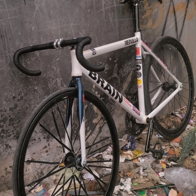 FRAME ONLY BRAIN MEDULLA