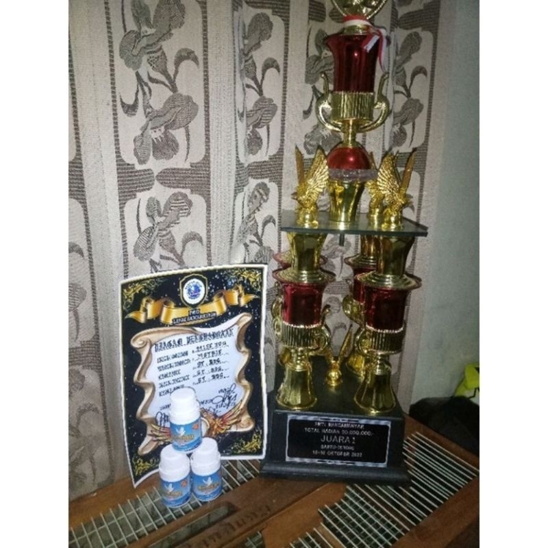 JAMU MERPATI MASTER POWER UNTUK MERPATI KOLONGAN 100BUTIR