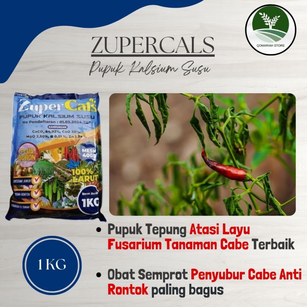 TERLARIS ZUPERCALS 1KG PLUS BORON UNTUK ATASI LAYU CABE AMPUH - Pupuk Susu Kalsium Untuk Basmi Layu 