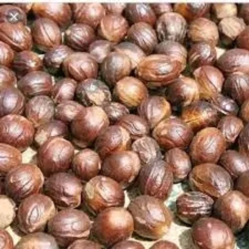 

BIJI PALA KERING 500 GR