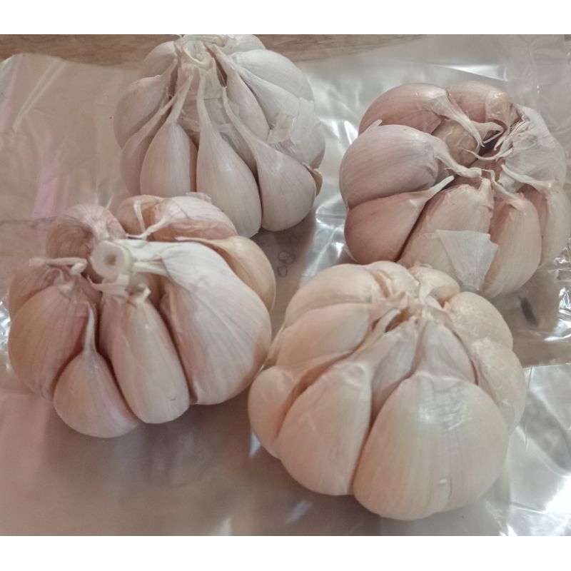 

bawang putih 100 gr