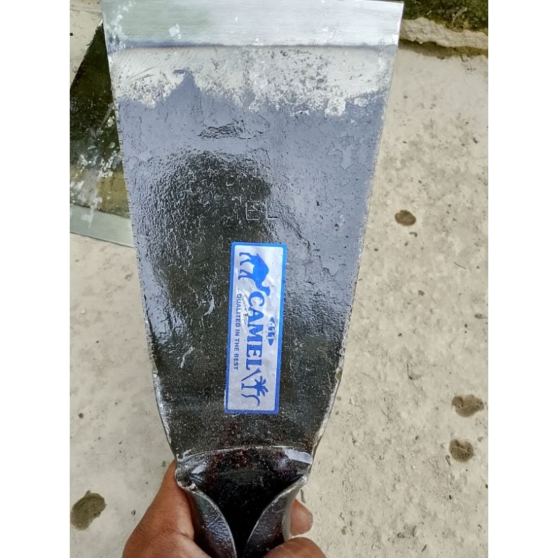 DODOS sawit camel original malaysia