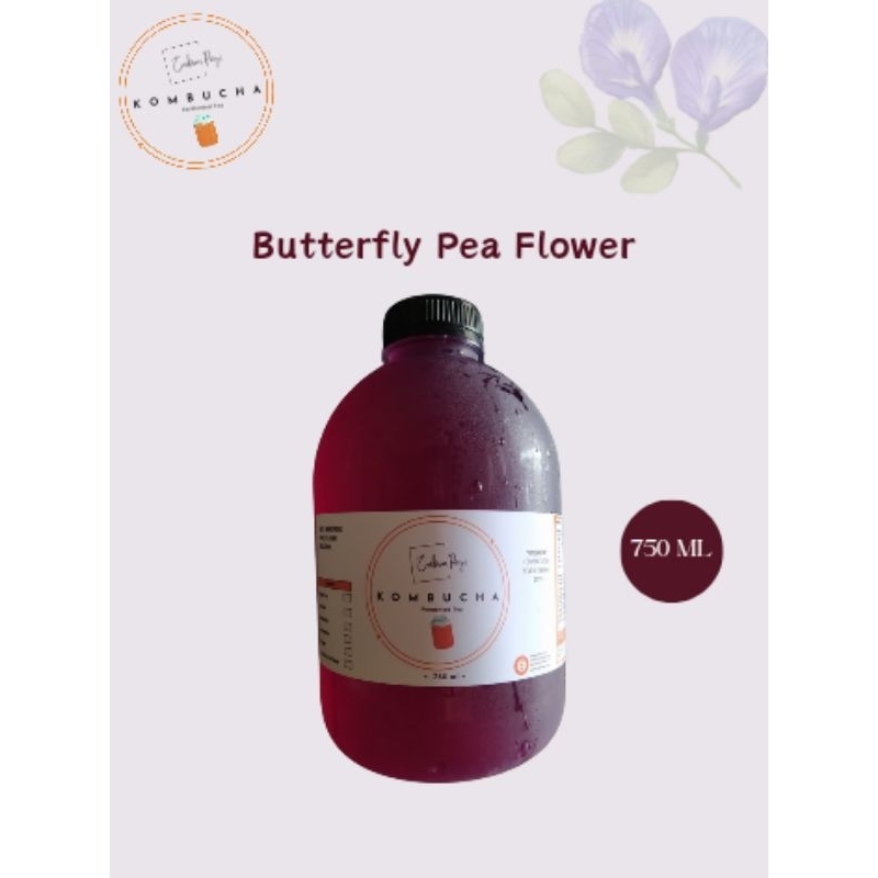 

Kombucha Bunga Telang