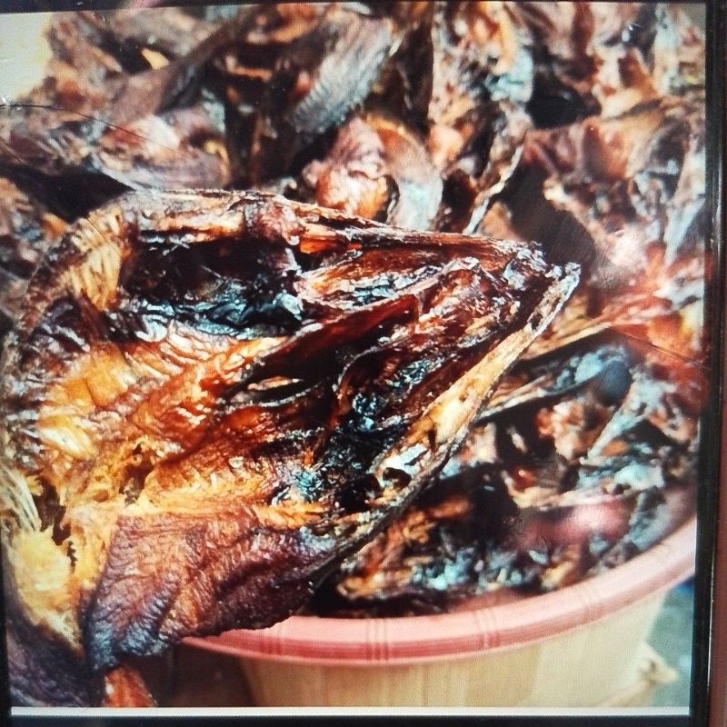 

IKAN SALE/LELE ASEP
