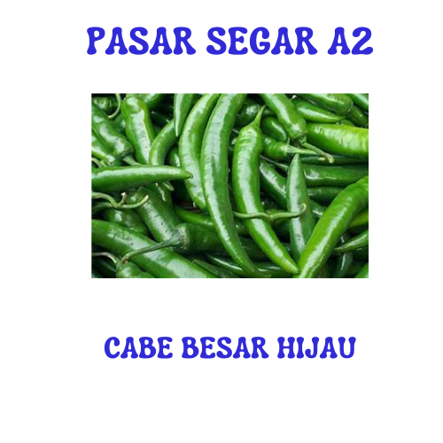

CABE BESAR HIJAU PASAR SEGAR MAKASSAR/PASAR TERONG ONLINE MAKASSAR