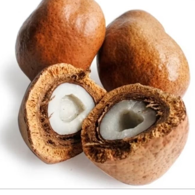

Buah Zuriat Mesir 1kg Program hamil Utuh