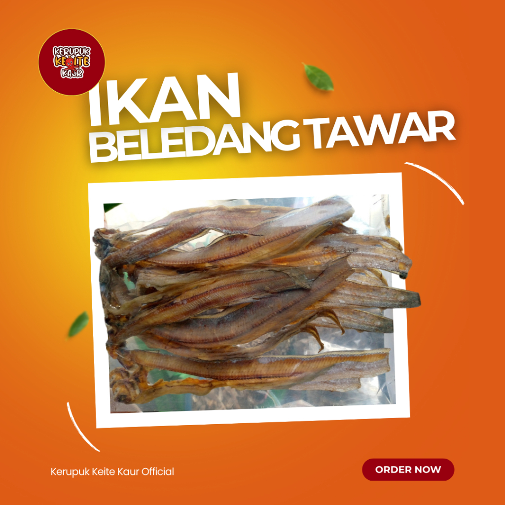 

Ikan Beledang Tawar Khas Bengkulu