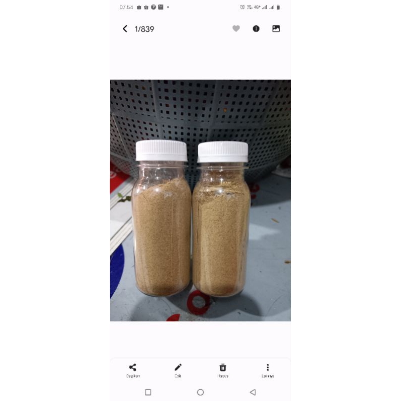 

Perbotol 25 gram kencur bubuk asli