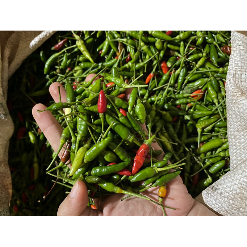 

cabe rawit kecil fresh 1 Kg
