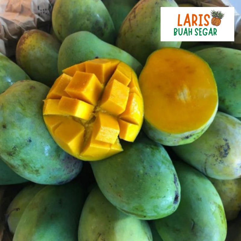 

BUAH MANGGA HARUM MANIS TUA POHON 1KG HARGA SPESIAL!