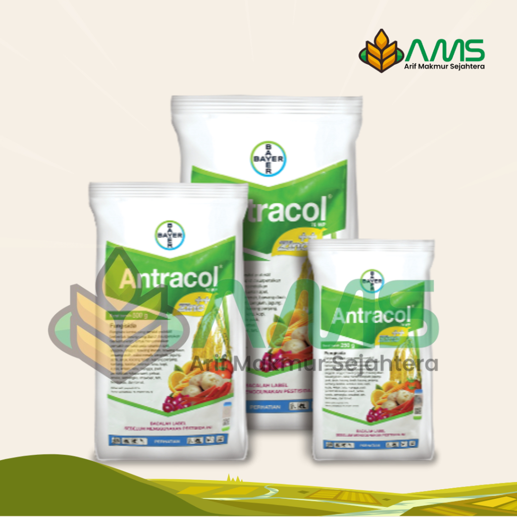 ANTRACOL 70 WP 1KG