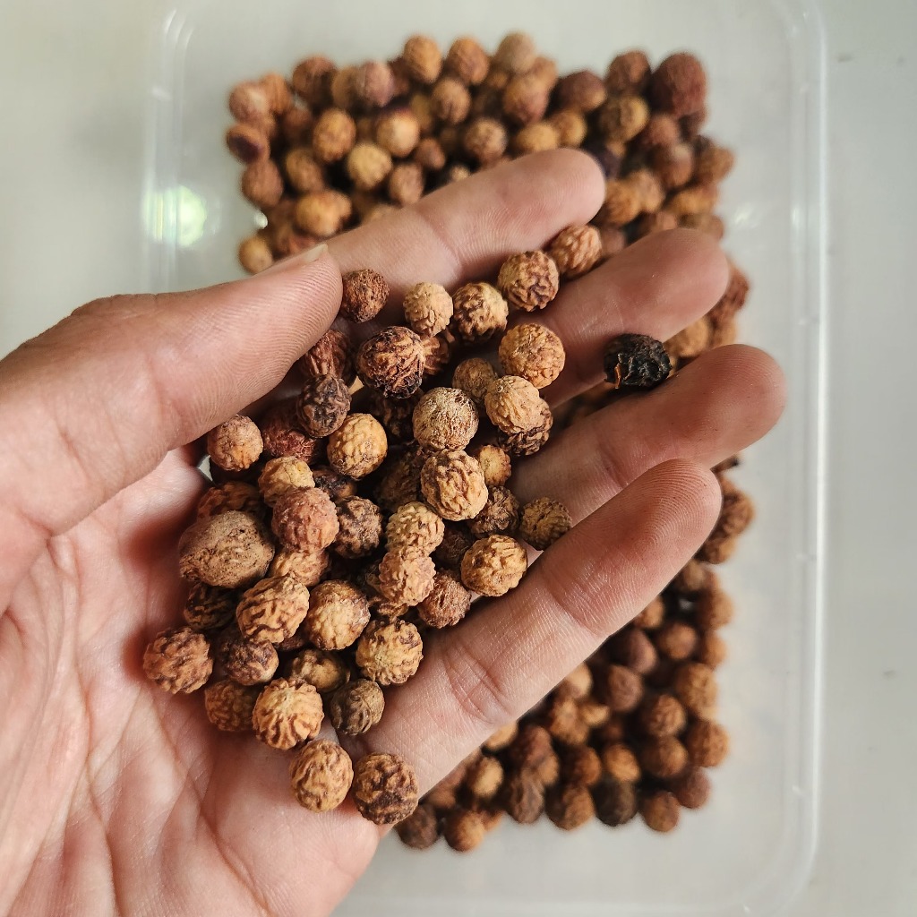 

(1kg) Biji Bidara Arab