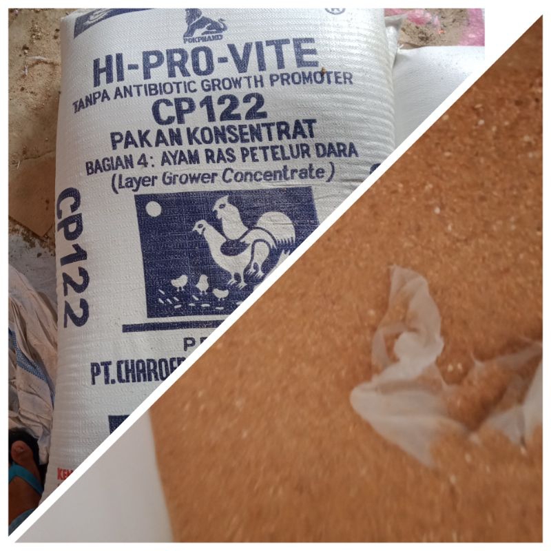 konsentrat ayam ras petelur cp122 pakan ayam hi pro vite 5kg