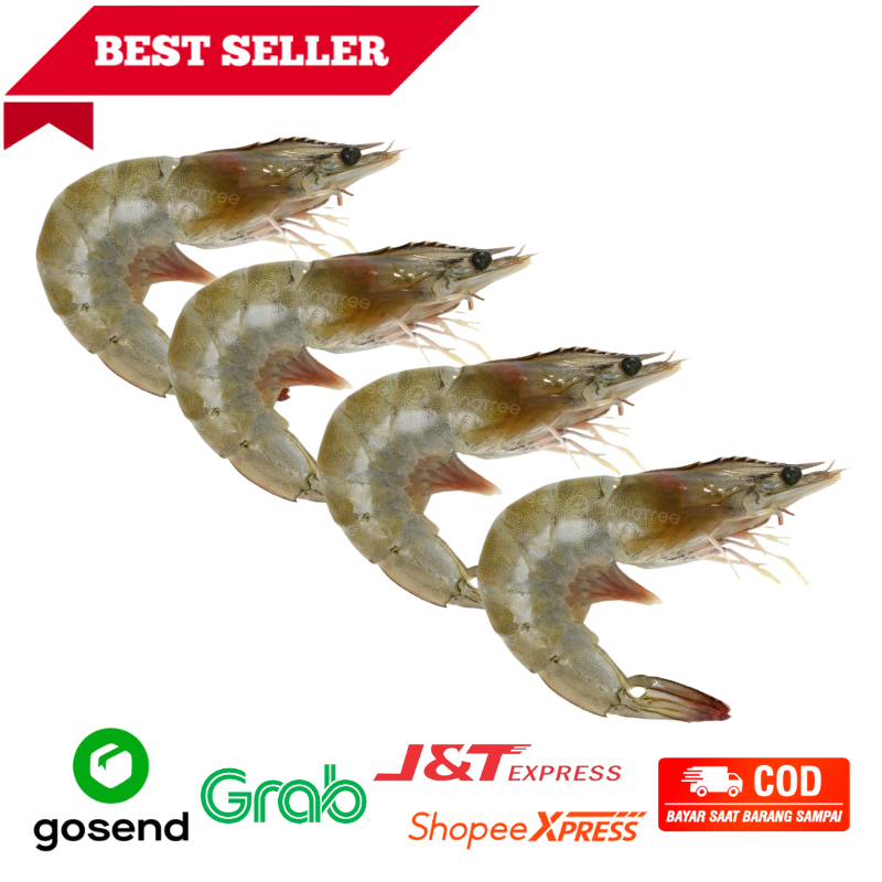 

Udang Mentah Super Fresh 1kg Freshmart Go