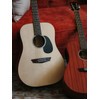 JS Guitars JD50 Acoustic Guitar