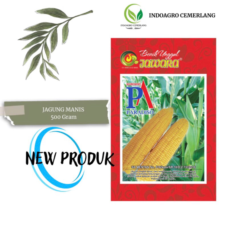 

Benih Jagung Manis PARADISO 500 Gram