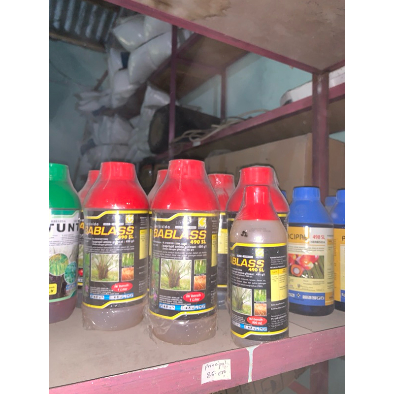 BABLAS OBAT PEMBASMI RUMPUT LIAR