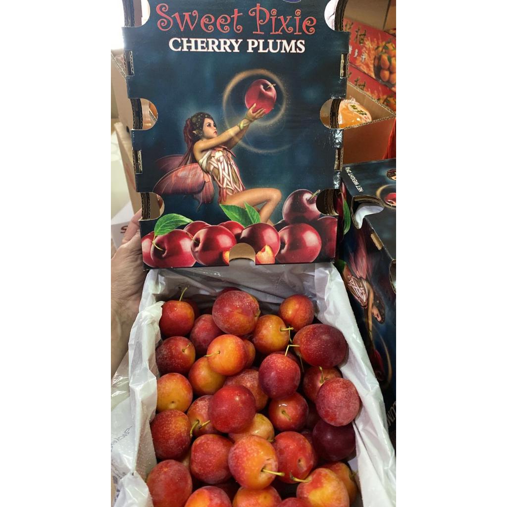 

CHERRY PLUM MANIS ENAK FRESH SEGAR BOX PAKET BUAH