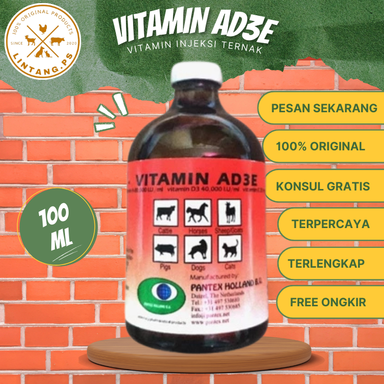 Vitamin AD3E Holland - Vitamin Sapi Manjur - AD3E Vitamin Injeksi 100ml