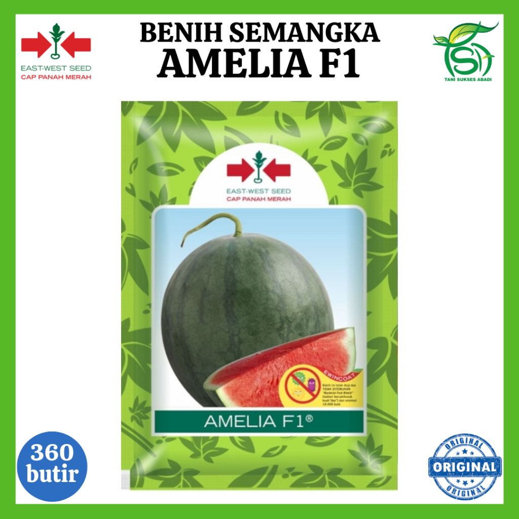 Benih Semangka AMELIA F1 (360 Biji) - Bibit Semangka Non Biji Cap Panah Merah