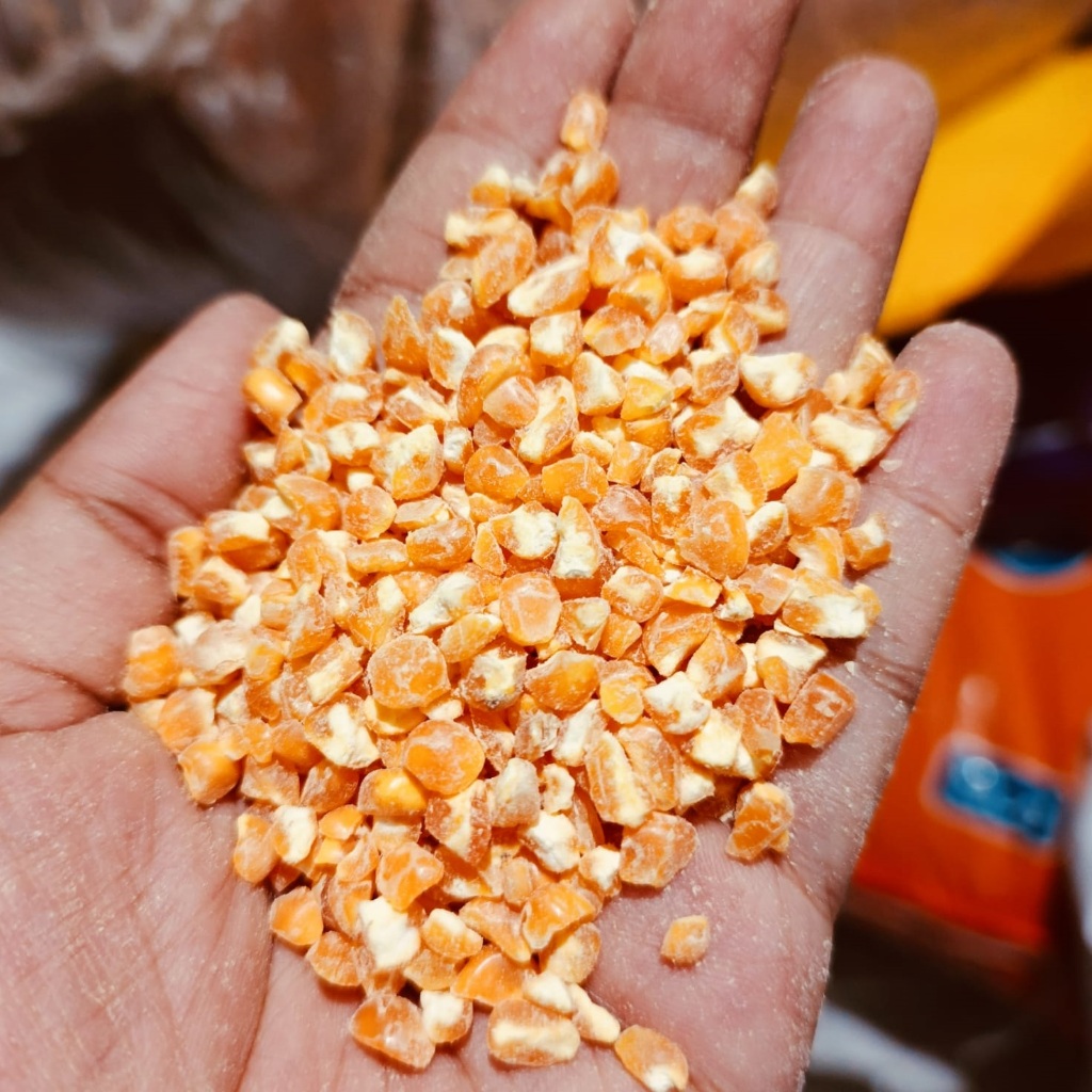 PAKAN AYAM,  BURUNG - JAGUNG PECAH -500 GR