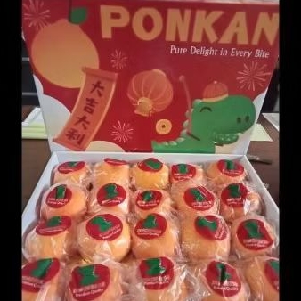 

JERUK DINO HONEY PONKAM KOREA MANIS ISI 20 GIFTPAK