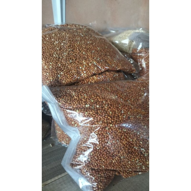 Milet Merah 1000 gram/ Jewawut merah Pakan burung 1000gram/ Pakan burung milet merah/ Red milet 1000