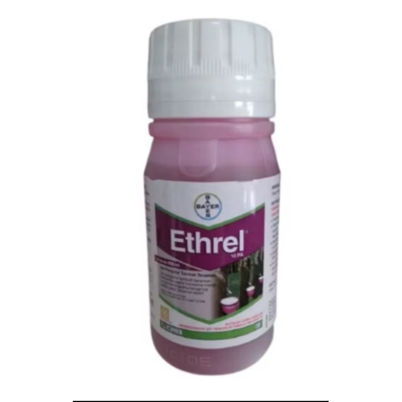 ETHREL 10PA @250ML POLES KARET