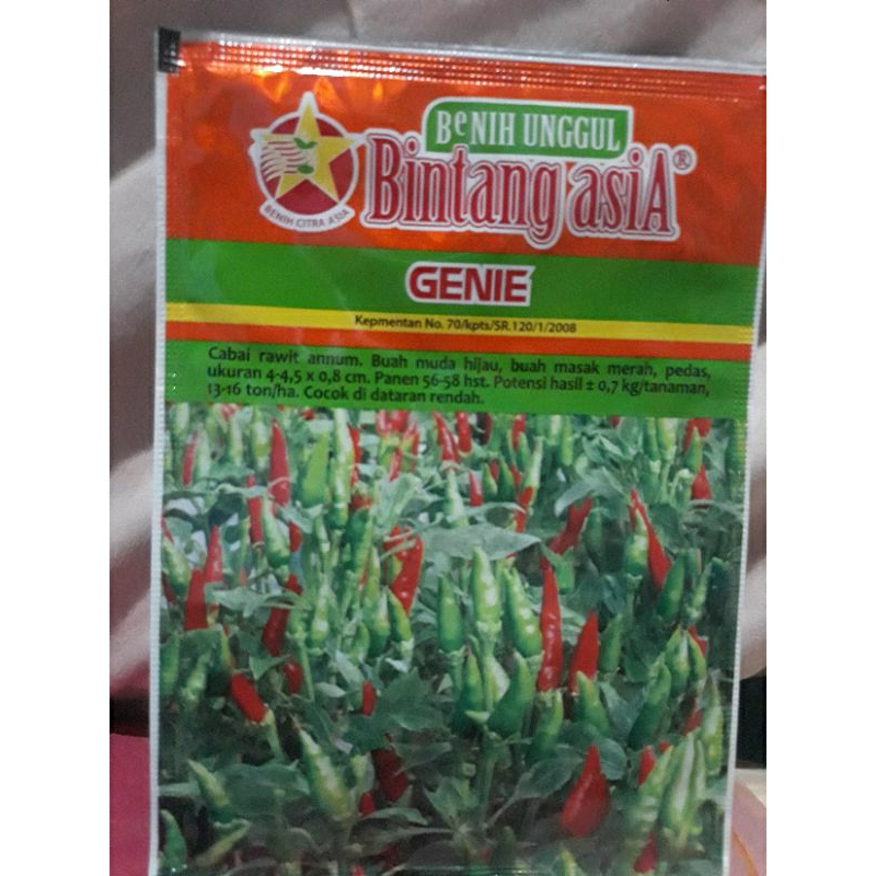 

Cabe rawit genie bintang asia