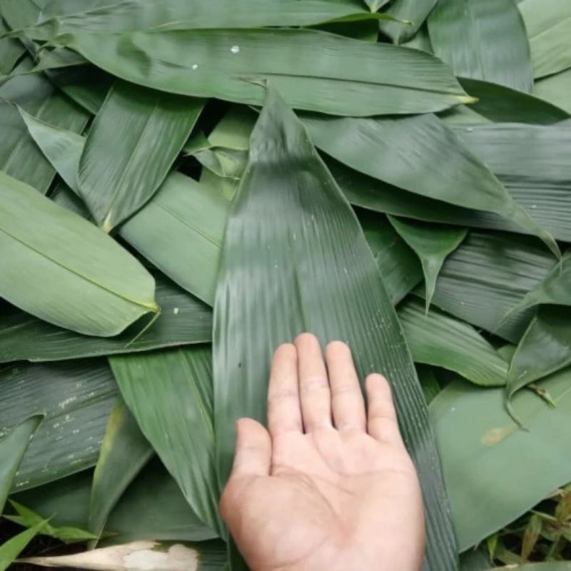 

Daun bambu bungkus bacang/backang 200 lembar