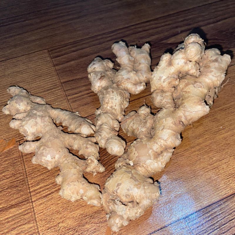 

JAHE EMPRIT PEDAS DAN TUA FULL CUCI 1 KG