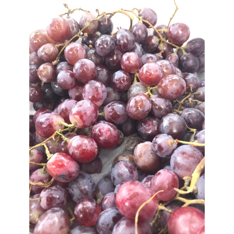 

Buah Anggur Fresh