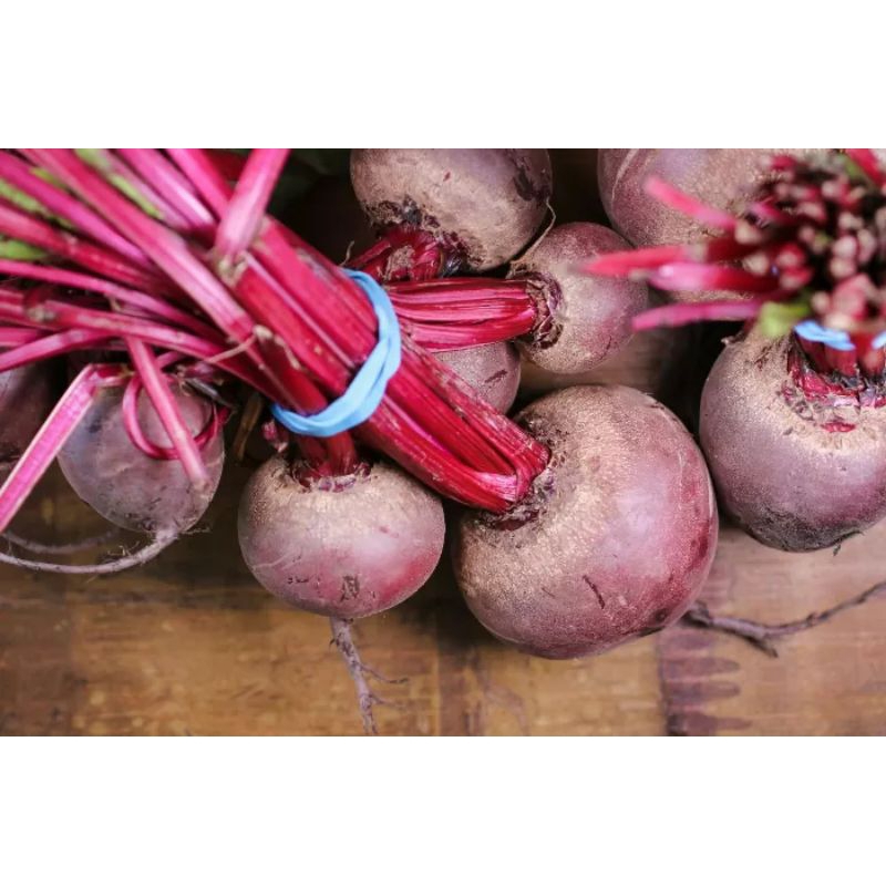 

beetroot/ Bit merah