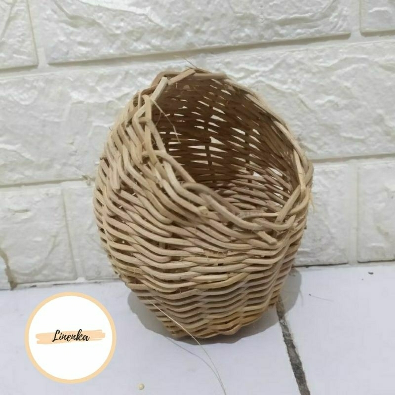 SARANG BURUNG ROTAN GOWOK BURUNG KECIL