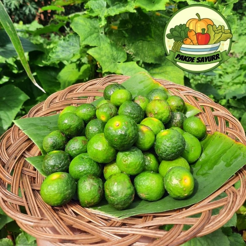 

Jeruk Limau Jeruk Limo harga per 100 gr