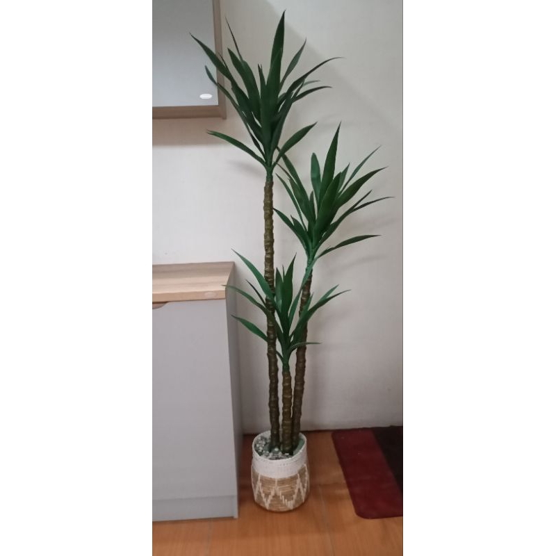 Pandan bali artificial/ yucca artifisial