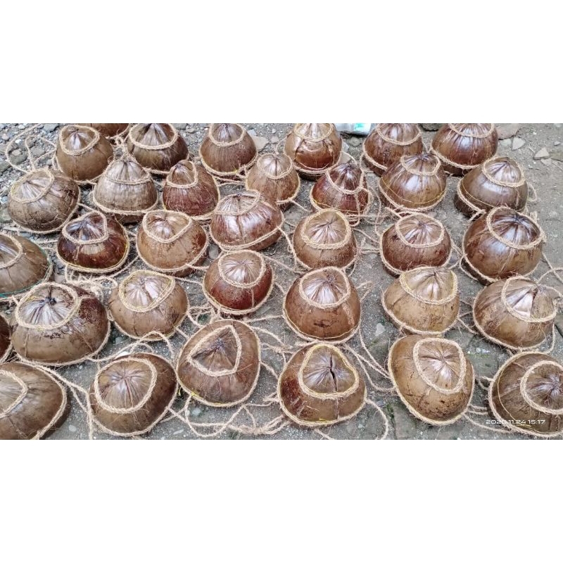 pot gantung kulit kelapa alami