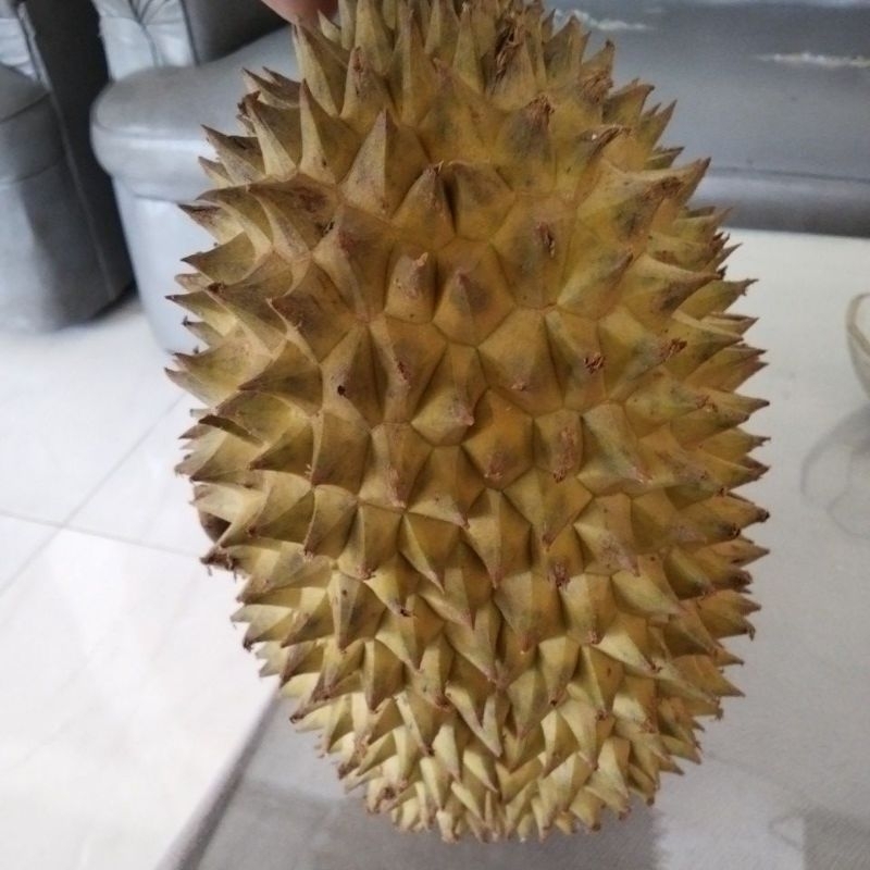 

durian