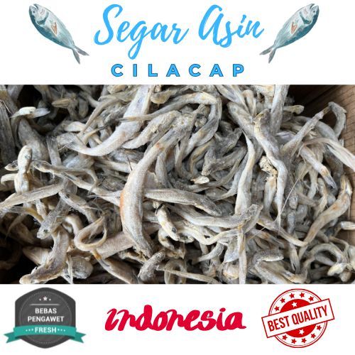 

Ikan asin kacangan 500gr khas cilacap berat tahan lama tanpa pengawet