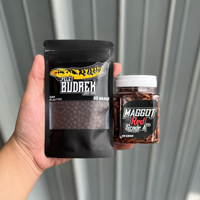 paket Maru Red untuk proges bunga dan warna [Pelet Budrek Maru X Maggot Red SaintHan] untuk proges c