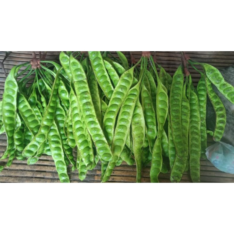 

pete super 1 onteng isi 10 lonjor/papan