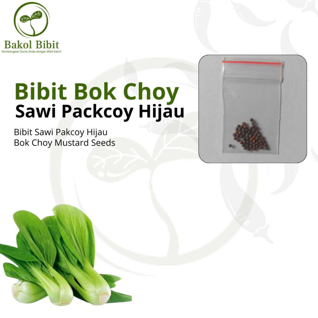 

BAKOL BIBIT- Aneka Bibit Sayuran Sawi Pakcoy (Sawi Sendok) Sayuran Rumahan -+50 Seed