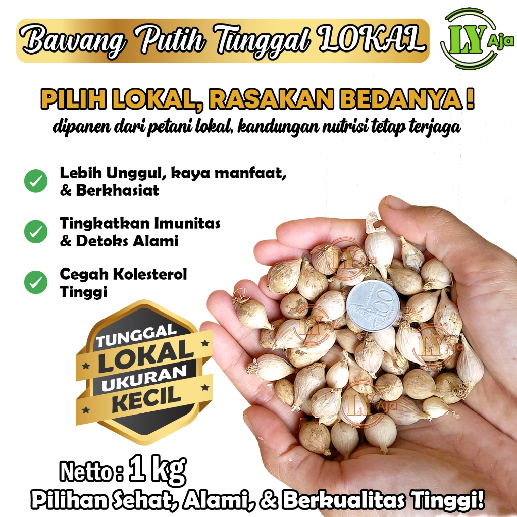 

Bawang Putih Tunggal Lanang Lokal 1 Kg Premium Super Jumbo Sedang Kecil LY Aja