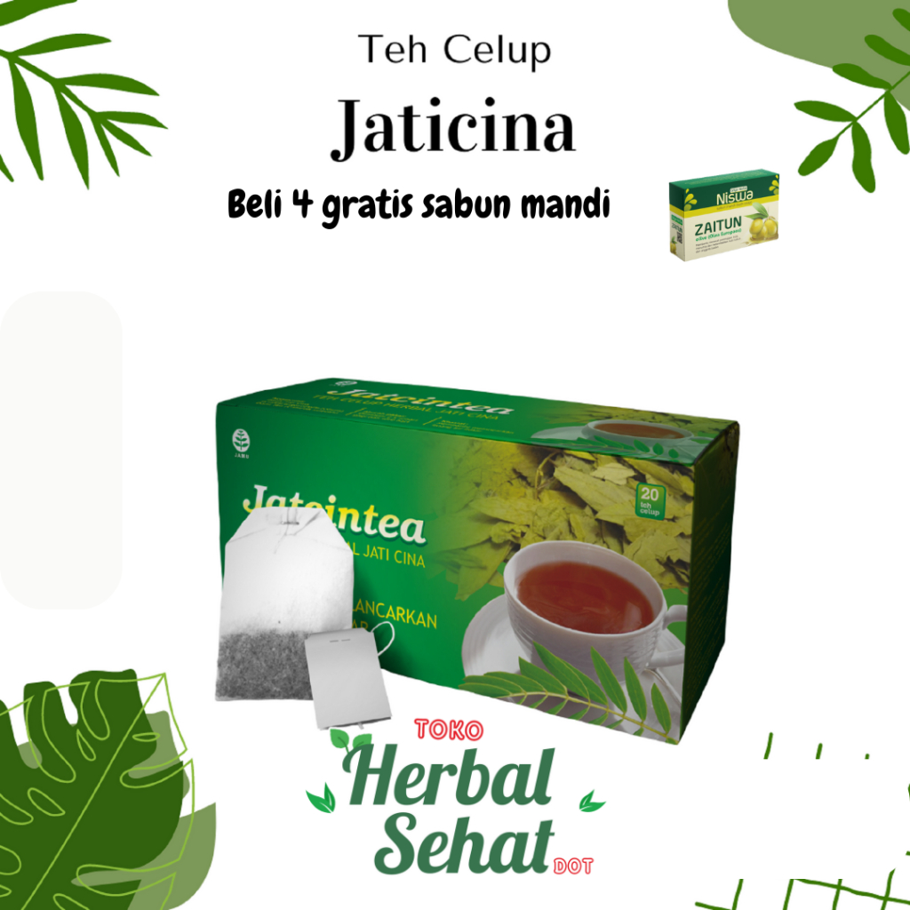 

Teh Jatcintea Jati Cina griya Herba isi 20 kantong membantu mengurangi lemak tubuh