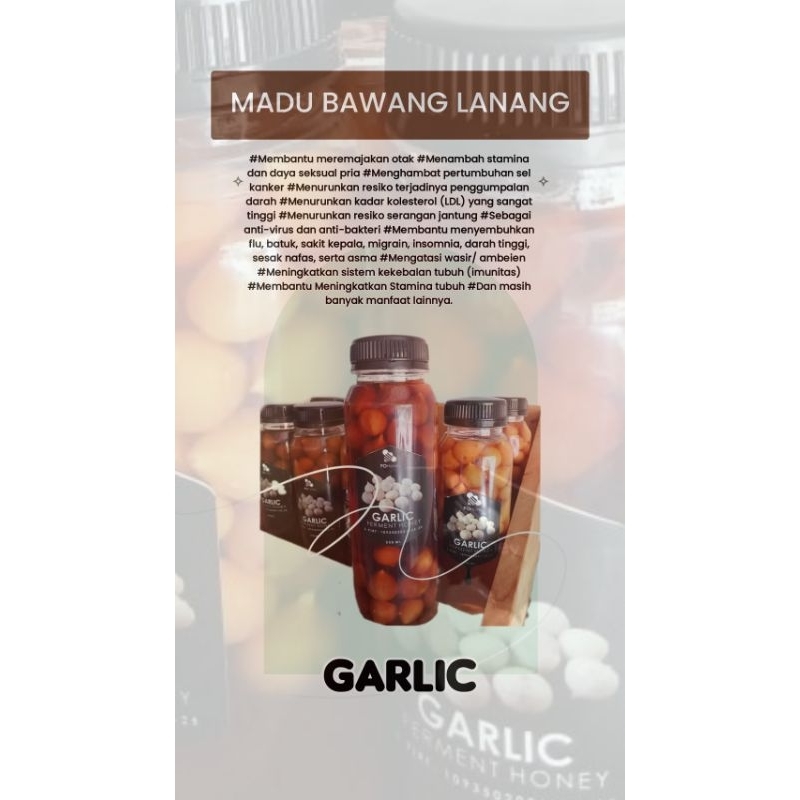 

Garlic Madu Bawang Lanang