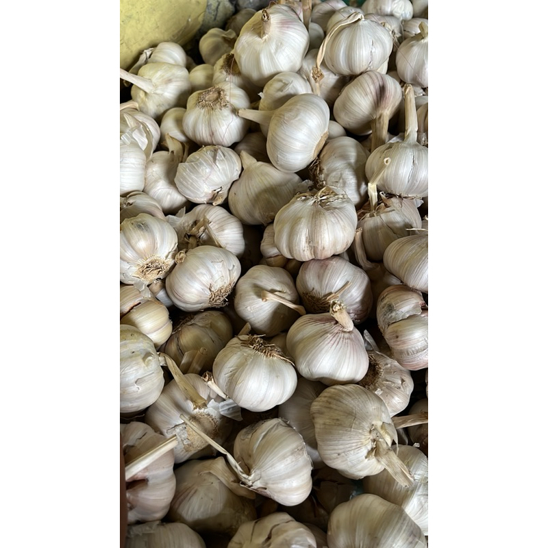 

BAWANG PUTIH 1KG