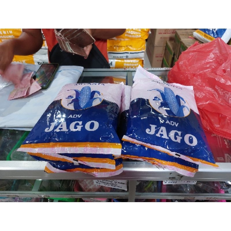 BENIH JAGUNG HIBRIDA ADV JAGO 1KG